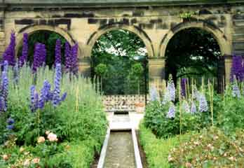 Alnwick garden1