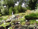 Alpine Garden