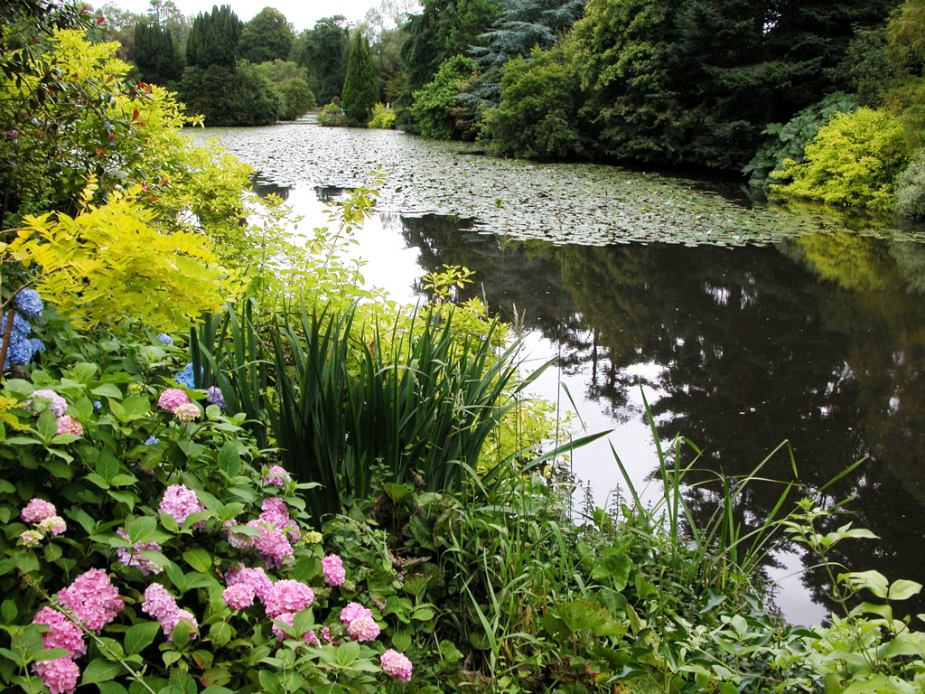 Lake, Altamont Gardens