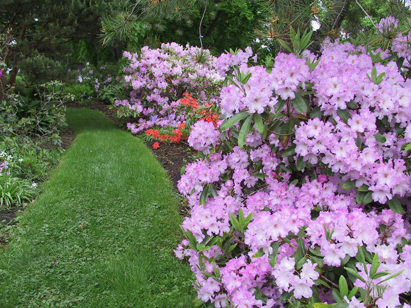 NSAC Alumni Gardens, Canada