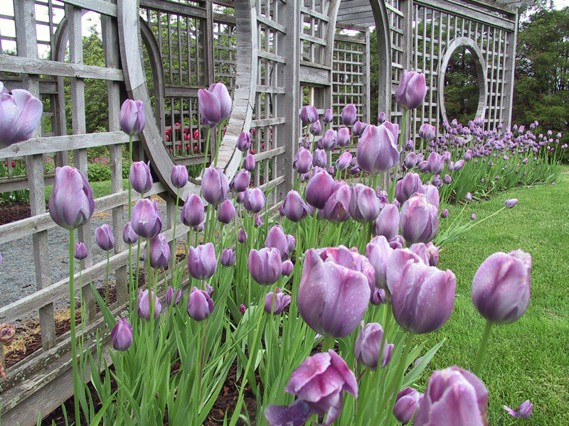NSAC Alumni Gardens, Nova Scotia