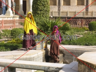 Amber Fort Gardeners