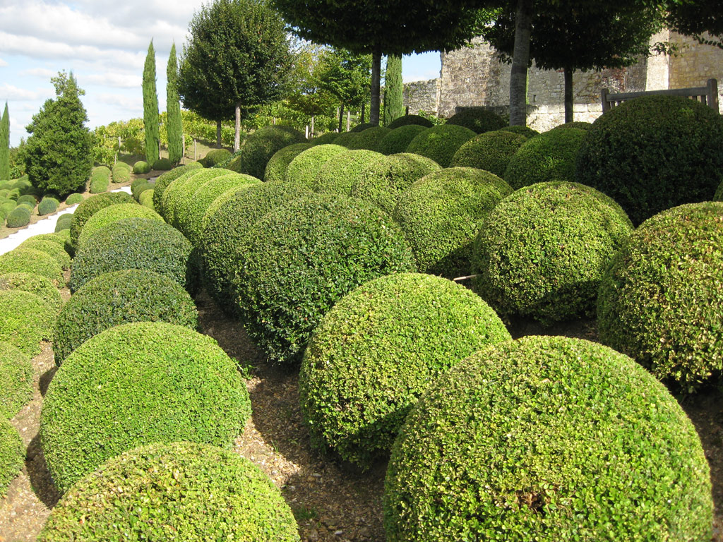 Amboise Garden