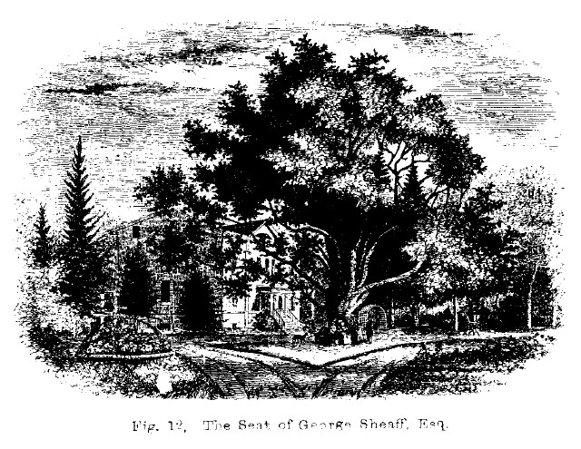 America fig12 seat of george sheaff