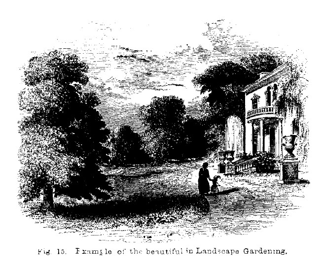 America fig15 beautiful in landscape gardening
