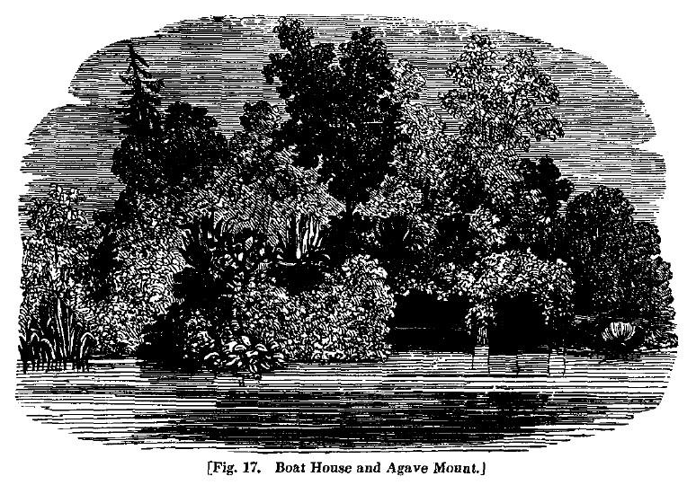 America fig17 boat house agave mount