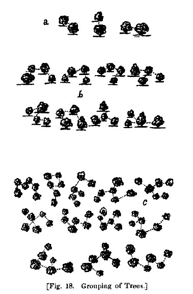 America fig18 grouping of trees