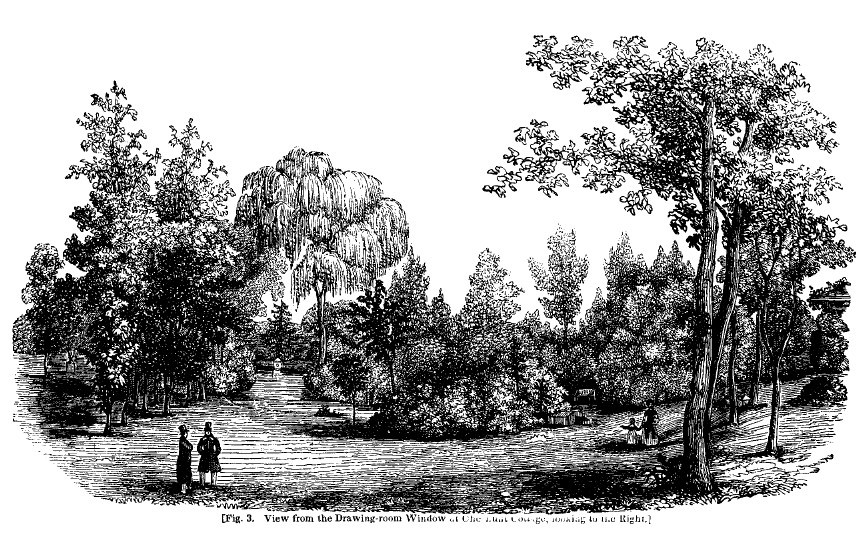 America fig3 view from drawing room chestnut cottage right
