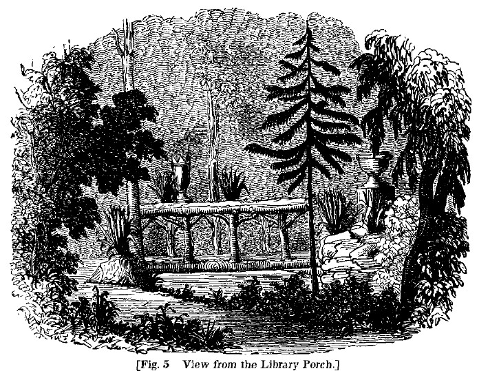 America fig5 from library porch
