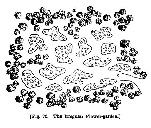 America fig76 irregular flower garden
