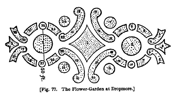 America fig77 flower garden dropmore