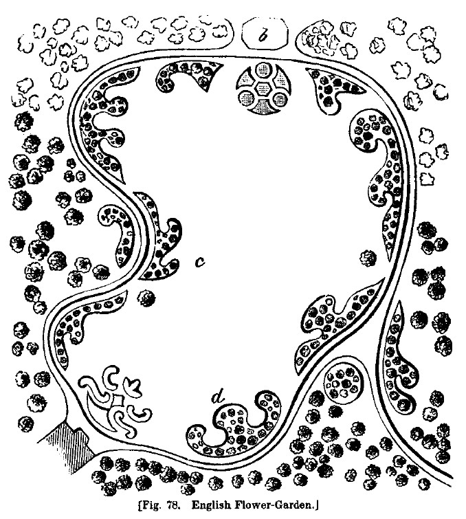 America fig78 english flower garden