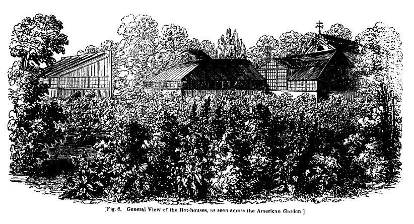 America fig8 general view hot house