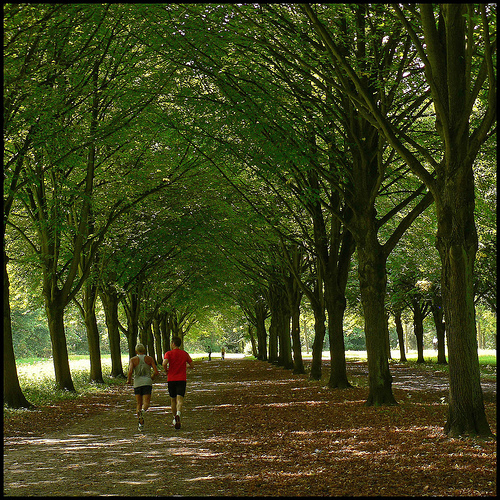 Amsterdamse Bos Park