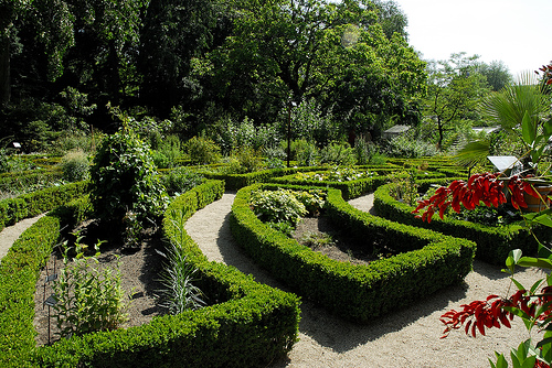 Amsterdam Hortus Botanicus