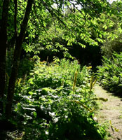 Annesgrovegardens