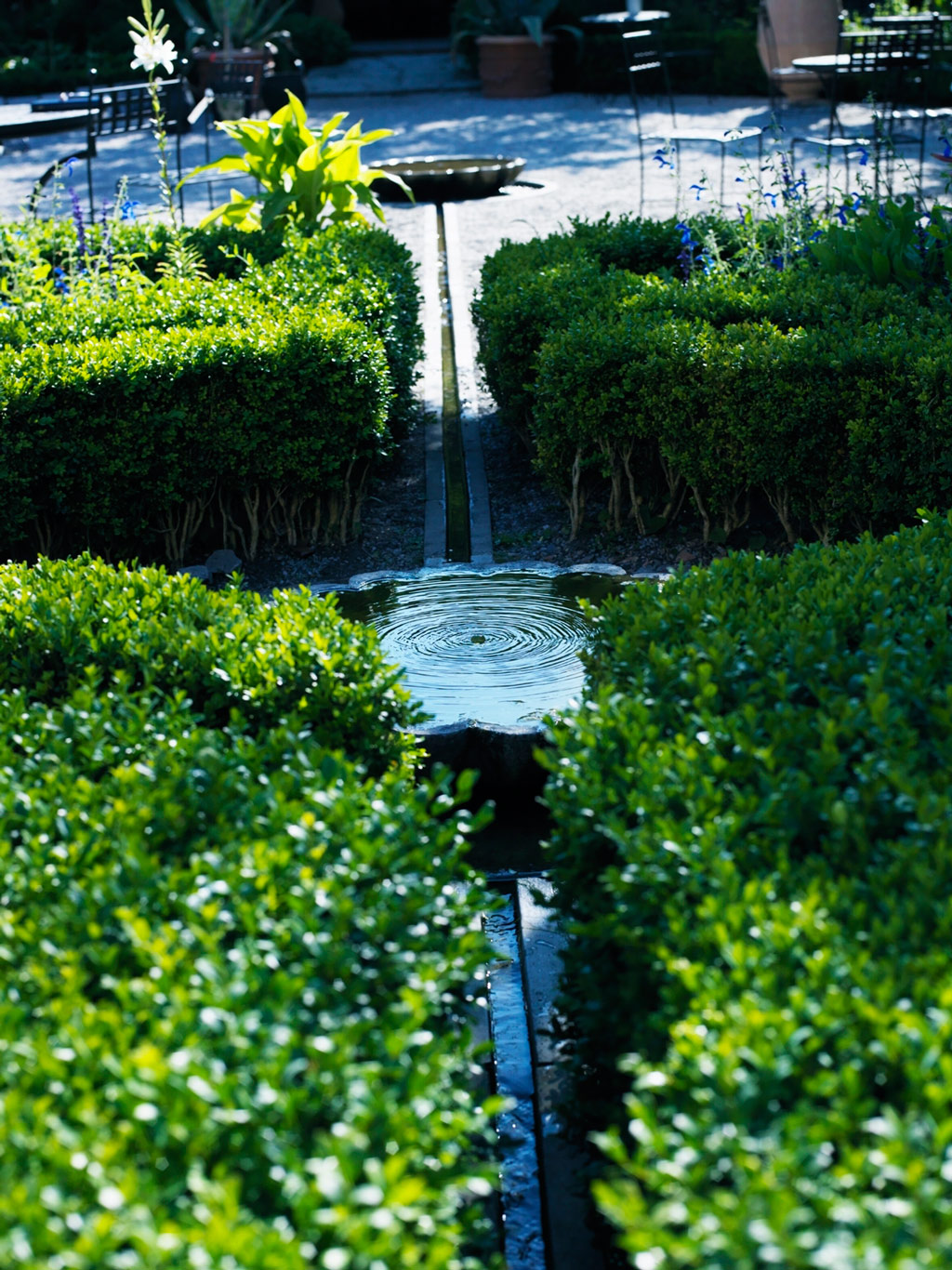 Apotekarns Trädgård Garden
