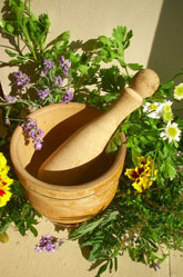 Apothecary herb garden