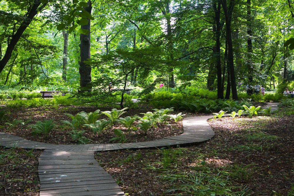 Aptekarsky Botanical Garden