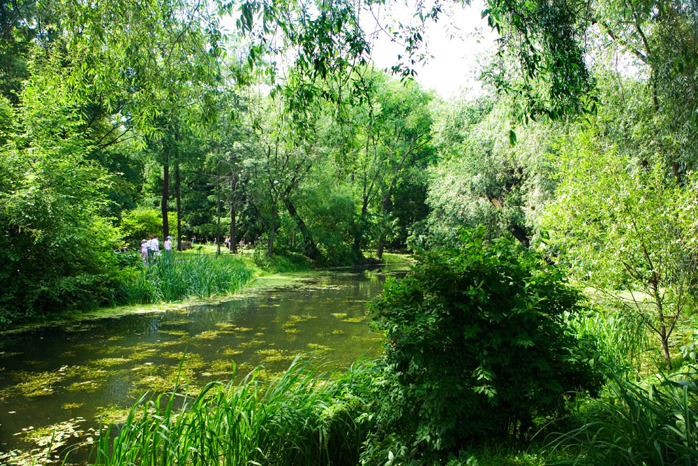 Aptekarsky Ogorod