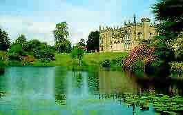 Arb3
