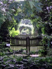Arboretum Kalmthout, Belgium
