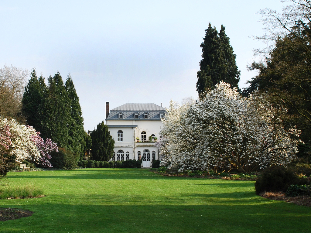 Arboretum Kalmthout Mich De Mey