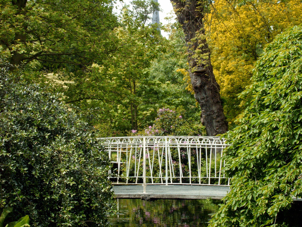 Bridge, Arboretum Trompenburg