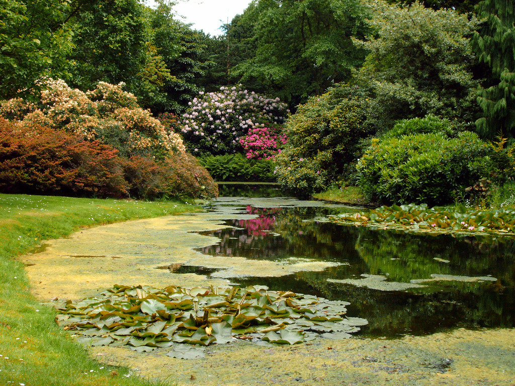Arboretum Trompenburg, Holland