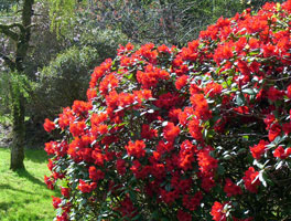 Ardanaiseiggardenargyll