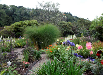 Ardmaddy castle garden
