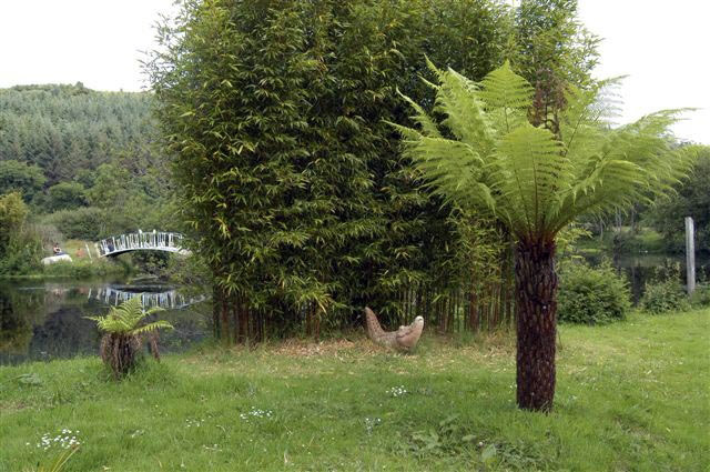 Ardnavaha Garden
