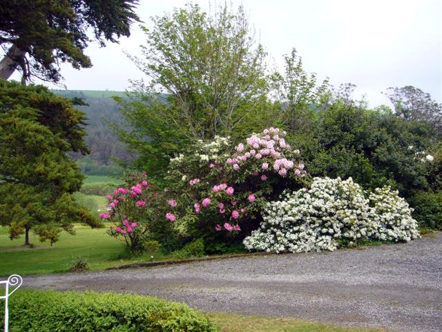 Shrubbery, Ardnavaha