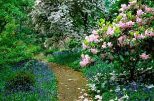 Arduaine garden nts