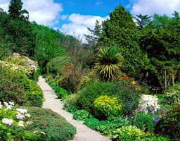 Arduainegarden nts