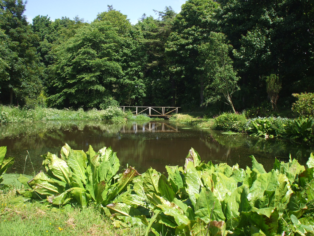Ardwell Gardens ShelaghW