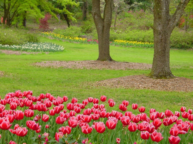 Arlie Gardens, Spring