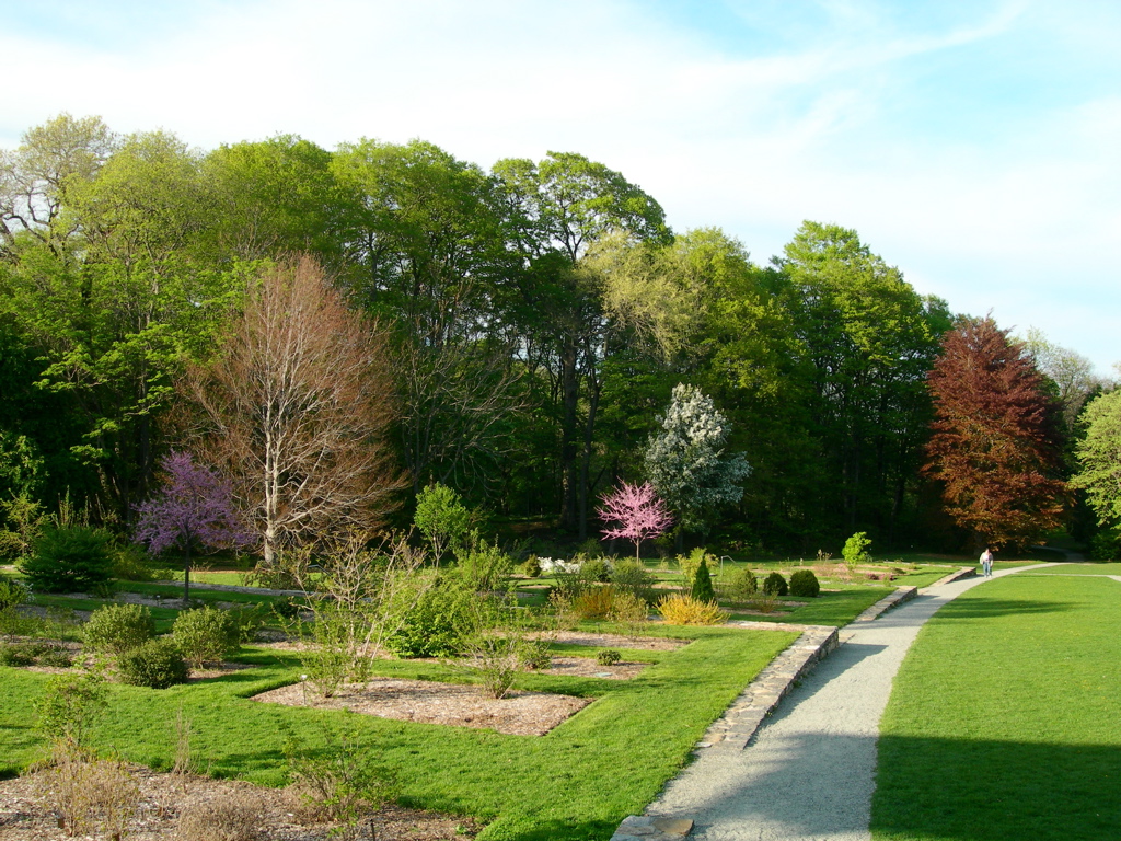 Arnold Arboretum Garden Chris Walton