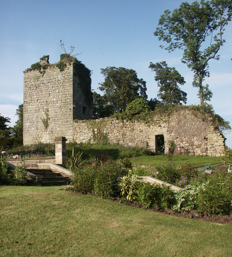 Castle, Arnot Tower Gardens