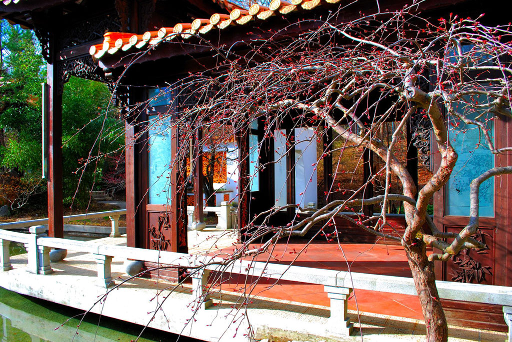 Chinese Garden, Asian Ensemble