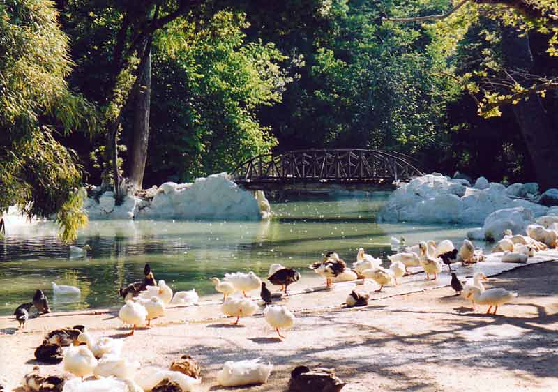 Athens National Garden