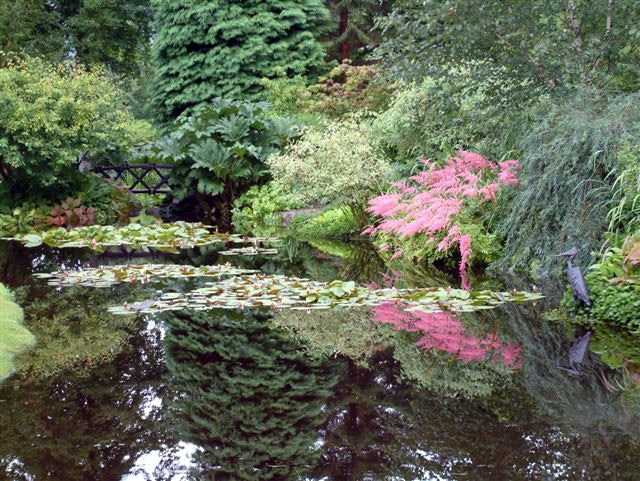 Pond, Attadale Gardens