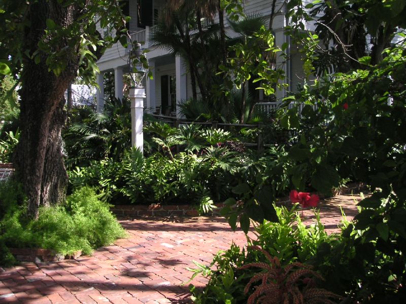 Audubon Gardens James Ashburn