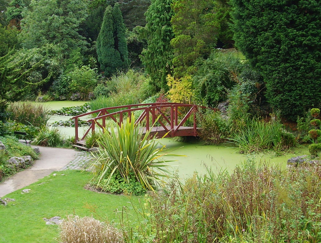 Avenham Park Tony Worrall