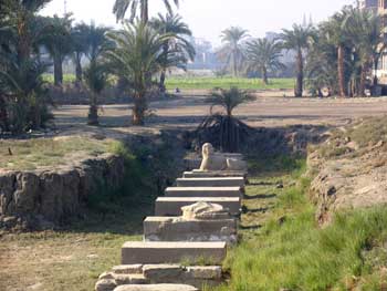 Sphinx Avenue in Luxor