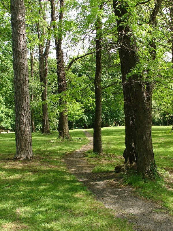 Awbury Arboretum