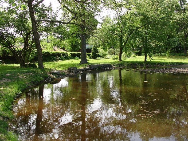 Pond, Awbury Arboretum
