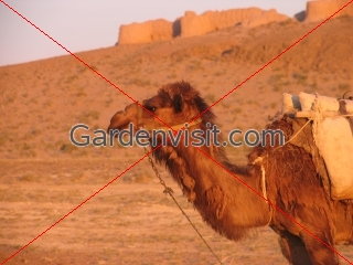 Ayaz Kala Uzbekistan