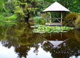 Ayrlies Garden, New Zealand