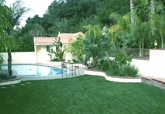 Back gardens